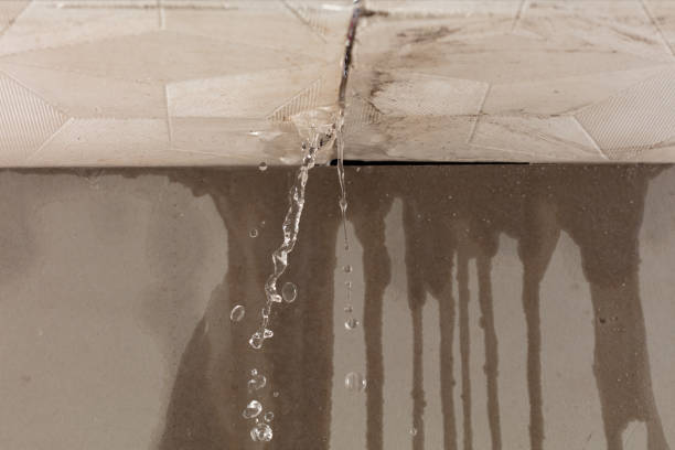 Professional Flood Damage Cleanup technician working in Saint Croix Falls, WI
